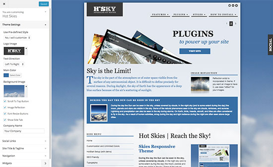 Skies supports WordPress customizer