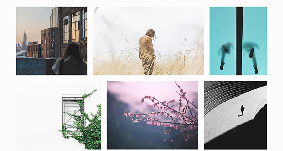 Siena - Aesthetic Photography Portfolio WordPress Theme