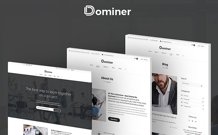 Dominer Business & Services WordPress Theme