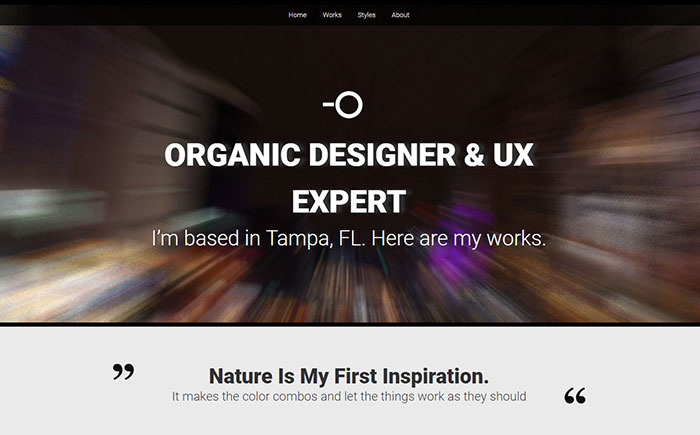 Responsive Portfolio WordPress Theme