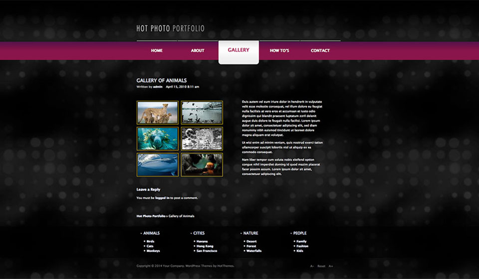 wp_photo_portfolio3