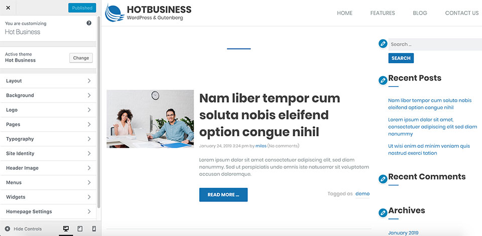 Business WordPress Customizer