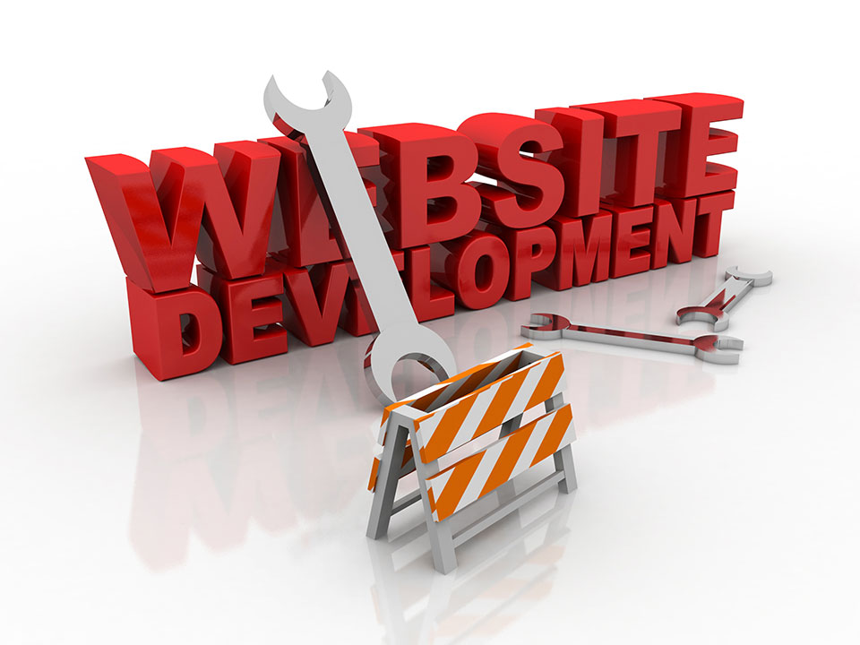 Website development