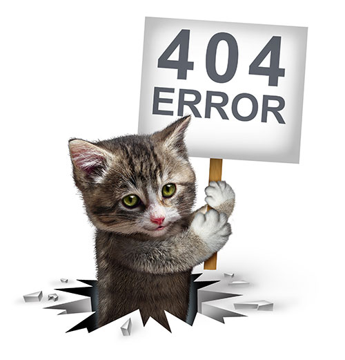 404 Error Cat