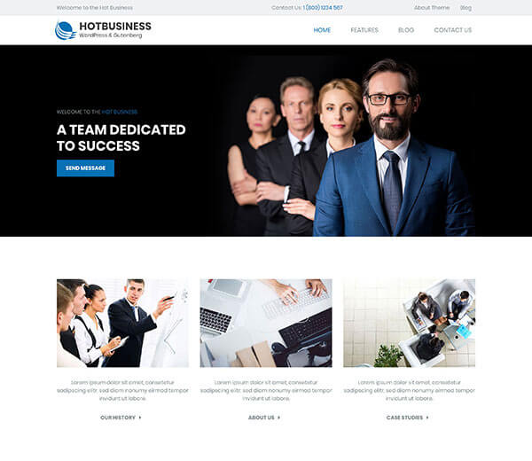 Business WordPress theme